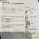 사파동365 이미지