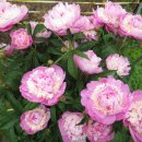 관악산현대홈타운 이미지