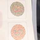 글라스스토리(송파점) 이미지