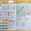 K타이거즈 최강태권도 이미지