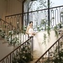 효자카서비스 | 수원 밝은 웨딩홀 추천 더마레보호텔 투어, 계약 후기 (견적공유X)