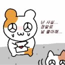 에너지리퍼블릭 | 20250118 늦은 원리퍼블릭 콘서트 후기