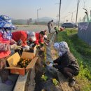 중앙탑면사무소 이미지