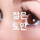 다바요 안경 네이버블로그