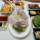 막썰어 세꼬시회 이미지