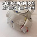 루온디자인 | 기저귀가방 백팩 추천 보온보냉백팩 자브 루온백(RU-ON) 내돈내산 실사용 후기