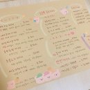 무늬카레 이미지