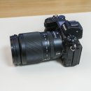 디카활용 주말 이미지