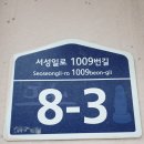 귤밭민박 네이버블로그