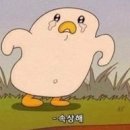 제이클라스피티 이미지