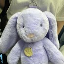 (주)서우건설 | 6월 2째주