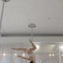벨라폴앤스트레칭