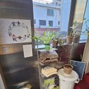 선운산도립공원(구, 자연의집앞) | 남영역 카페｜레몬 디저트가 맛있는 챕터 남영 후기(구 남영출판사)