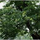 남한산초등학교 이미지