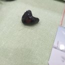 포낙보청기 포항센터 | 김포보청기 포낙보청기 김포센터에서 보청기 바꾼 후기