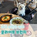 Pick-Pct(픽-펫) | 대구 도원동 브런치 카페 애견동반 가능한 곳 문라이트 브런치