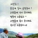봄소리 이미지