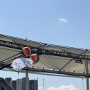 2025년 인천국제하프마라톤대회 10km 참가 및 완주 후기