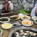 [JMT 감별사] 홍성 기운센장어