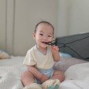 큐브311 | 육아일기 샤샤 일상기록 D+311 ~D+320