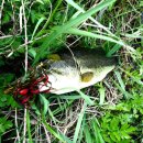 구룡천2 이미지