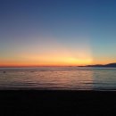 플랫폼74 | 리가켐바이오 - ADC 플랫폼 · 임상데이터 진행현황