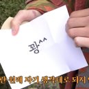 헤이버디 이미지