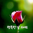 세상, 나원 참 이미지