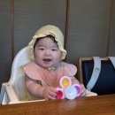 한양불고기 - 평창군 | 🩵인천 송도 한양불고기에 칠순잔치 솔직후기 🥳🎂