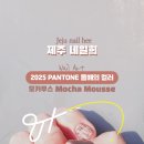 제주네일희