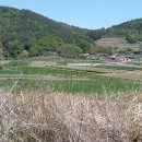 The괜찮은공인중개사사무소 이미지