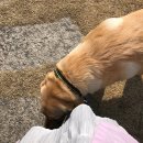 소리야네집 | 재미가 없다고? 블로그는 기세다