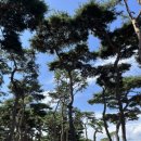 임산부 30주 일상-이모들의 사랑, 한결이 미용, 시아버님 생신, 일상 이모저모
