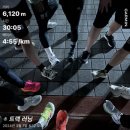 데일리 복싱 이미지