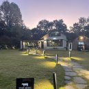 계백로776번길 | [공지] |노협찬|대전 소고기 맛집 끝판왕-관저동 구봉산 나인 1++(9) 투뿔 한우 대표메뉴 꽃등심 추천...