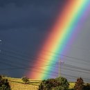 무지개 이미지