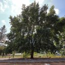 사나래캠핑장 이미지