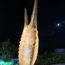 우리 집 내 손으로 명당 만들기 이미지