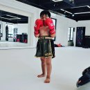 폭스 무에타이 이미지