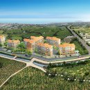 펠리시티1차 이미지