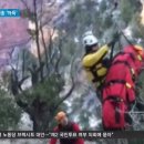 남성관광여행사
