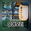 (주)모리식품 | 강릉 감성 숙소 추천 유메모리 리조트 국내 료칸 프리미엄 패키지 후기