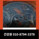 강릉건강원