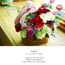 금호소망산부인과의원 이미지