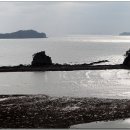 원광주유소 이미지