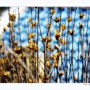 오마이랜드부산 이미지