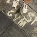 TRUST GYM 이미지