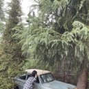 304009 | 10월 오사카 3박4일 여행 경비(feat. 동생)