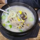 돼지나라 이미지