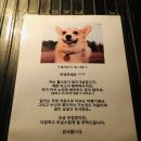 아이리스PC Cafe 상무점 | [제주도 여행] 비행기 예약